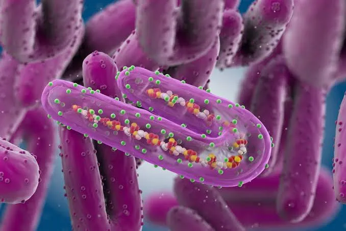 ‏تەندروسی جەهانی بڵاوبوین ڤایرۆس ماربۆرگی راگەیان