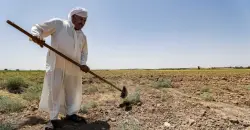 Iraq unveils winter farming plan as water shortages deepen