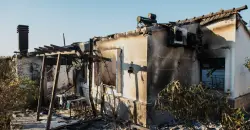 حريق مروع ينهي حياة سيدة محبة للحيوانات وقططها الثلاثين في تركيا