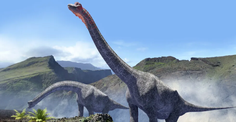 بطول عشرة طوابق.. اكتشاف نوع جديد من الديناصورات في الصين