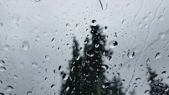 ‏کەی وارانیگ ترەک روی لە هەرێم کەێد؟