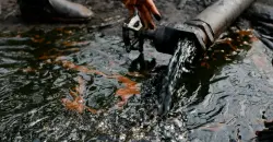 Brent, WTI rebound after 2.1% drop, aided by EIA data