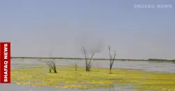 A story in Hawizeh marsh: From water to dust life