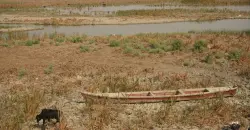 Iraqi farmers plan protests over cultivation ban