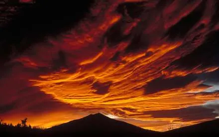 ‏خوەر لە ئالاسکا ئاوابوی  تا 64  رووژ ترەک دەرنیەچوود