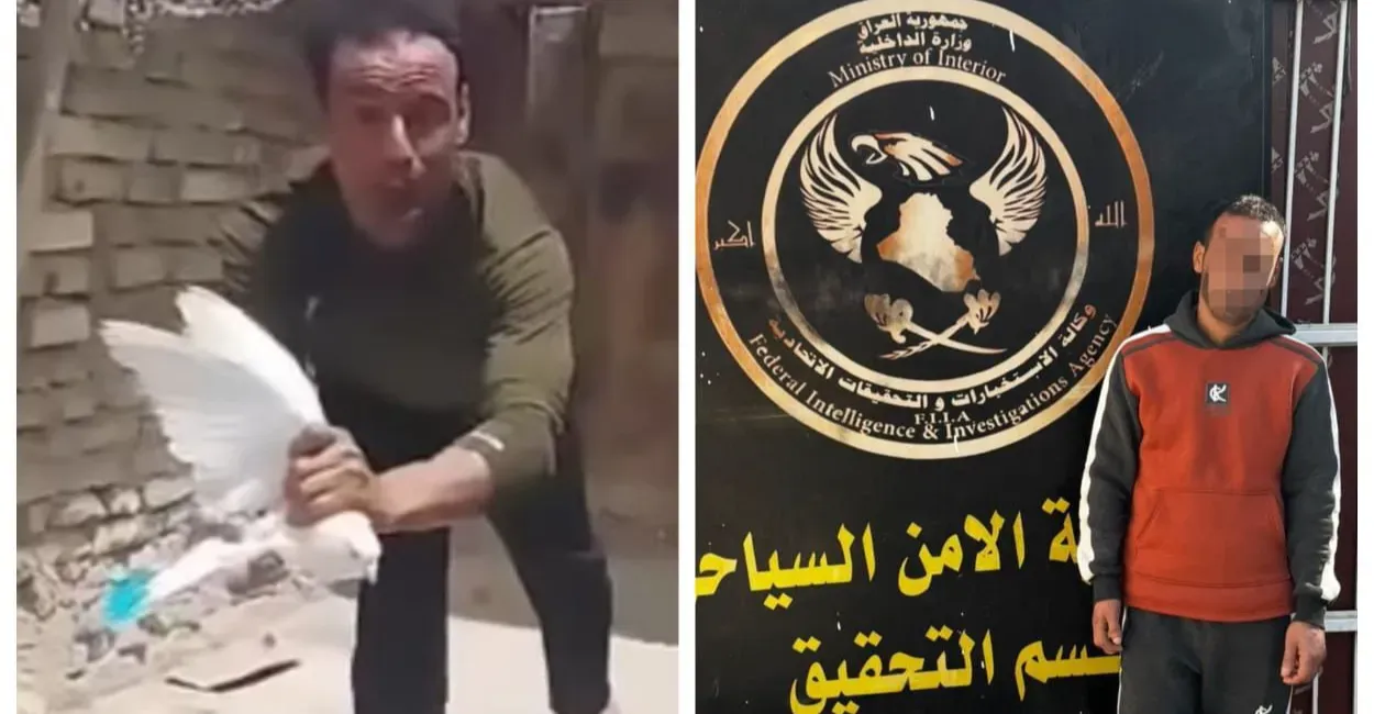 Outcry over brutal bird-abuse clip pushes Iraqi forces to act