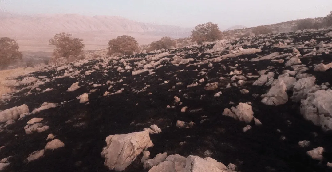 كرمانشاه.. السيطرة على حريق مرتفعات گيلانغرب