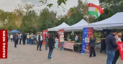 السليمانية تدعم فريق زاخو لحصد لقب أفضل جمهور على مستوى العالم (صور)