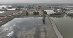 Illegal fish farms shut as Iraq’s water crisis deepens