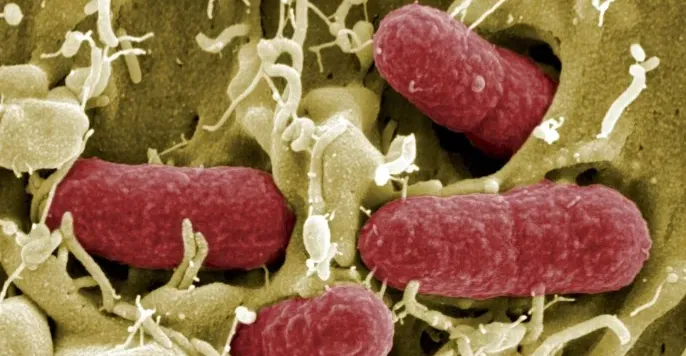 تحذير طبي.. الإفراط في أدوية حرقة المعدة يرفع المخاطر