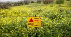 كارثة الألغام تتفاقم عالمياً.. سوريا وميانمار في الصدارة