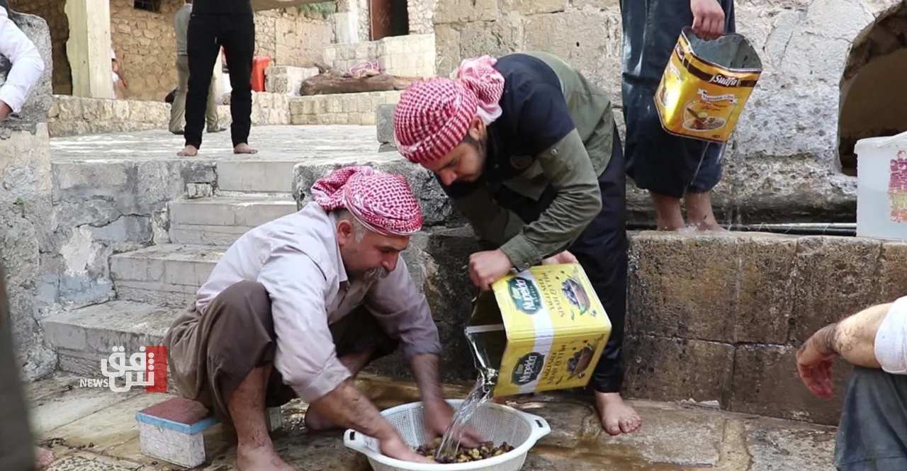 Yazidis begin annual olive harvest ritual at Lalish temple in northern Iraq