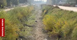 صور من بابل.. الجفاف يمحو نهراً من الخريطة