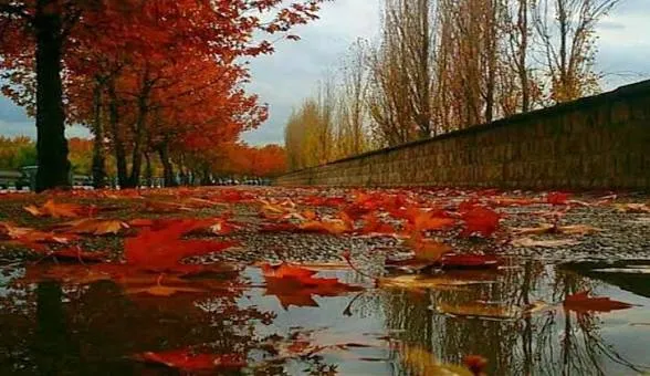 ‏دوو پارچە شیعر