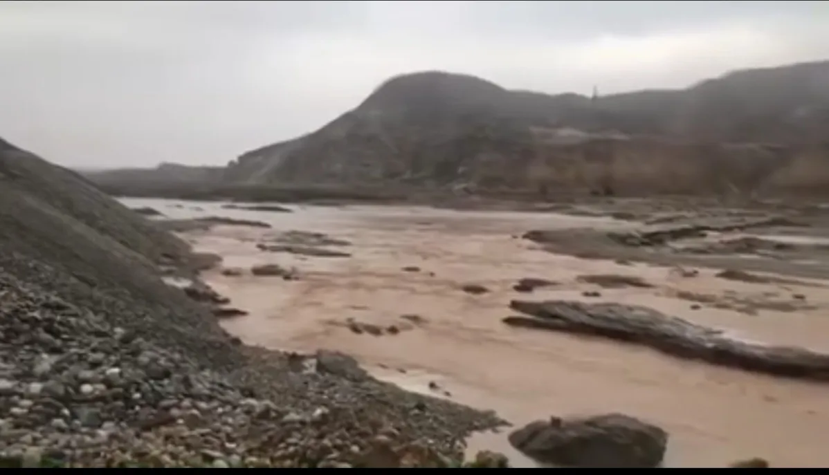 لافاو وارانەگە دووڵ چای نیمە پڕەو کەێد