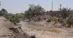 Iraq’s vanishing wetlands: Maysan marshes declared long dead