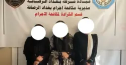 بينهم نساء.. الإطاحة بشبكة ابتزاز "خطيرة" واعتقالات في 3 محافظات