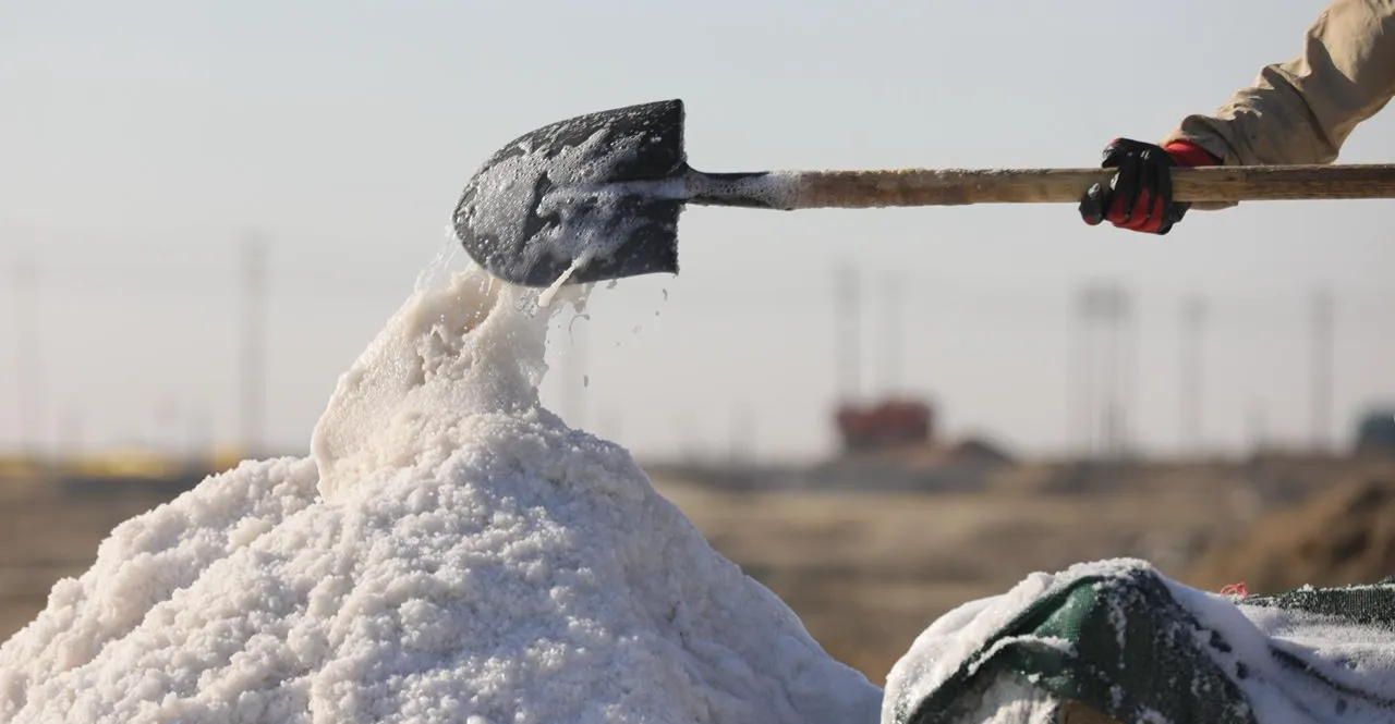 Water scarcity reshapes Najaf’s longstanding salt economy