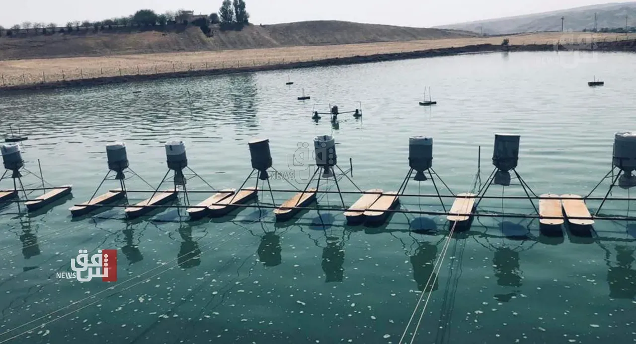 Nearly half a million fish killed by Kurdistan floods