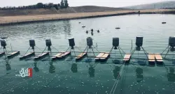 Nearly half a million fish killed by Kurdistan floods