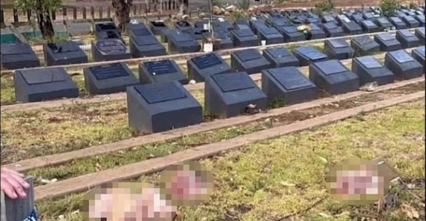 تداعيات هجوم بوندي.. تدنيس مقبرة إسلامية برؤوس خنازير