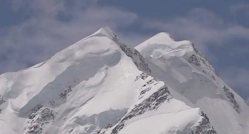 دوو کوشیان و دوو بیسەروشوین لەبان کویەیل نیوزلاند