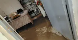 تدهور المستوصف البيطري في الخالص بعد غرقه بمياه الأمطار (صور)