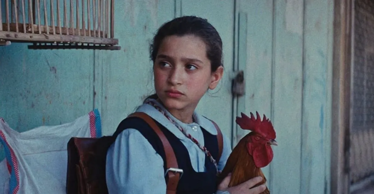 بينها العراقي "كعكة الريس".. 4 أفلام عربية مرشحة لجائزة "الأوسكار"