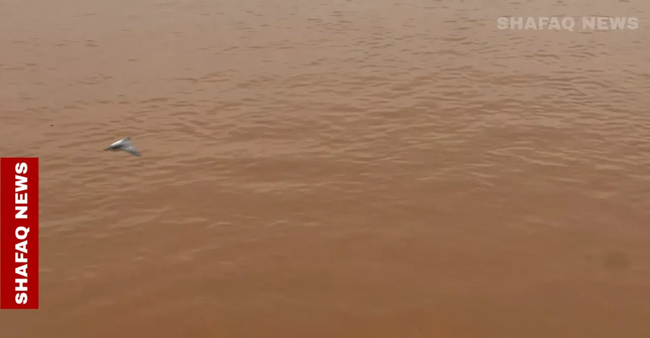 Iraq’s Tigris and Euphrates post modest water level increase