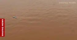 Iraq’s Tigris and Euphrates post modest water level increase