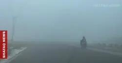كابوس الضباب.. المرور تطلق تحذيرات عاجلة لسائقي المركبات
