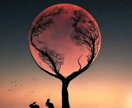 ‏زه‌لان هه‌ڵس! بشێونه‌م