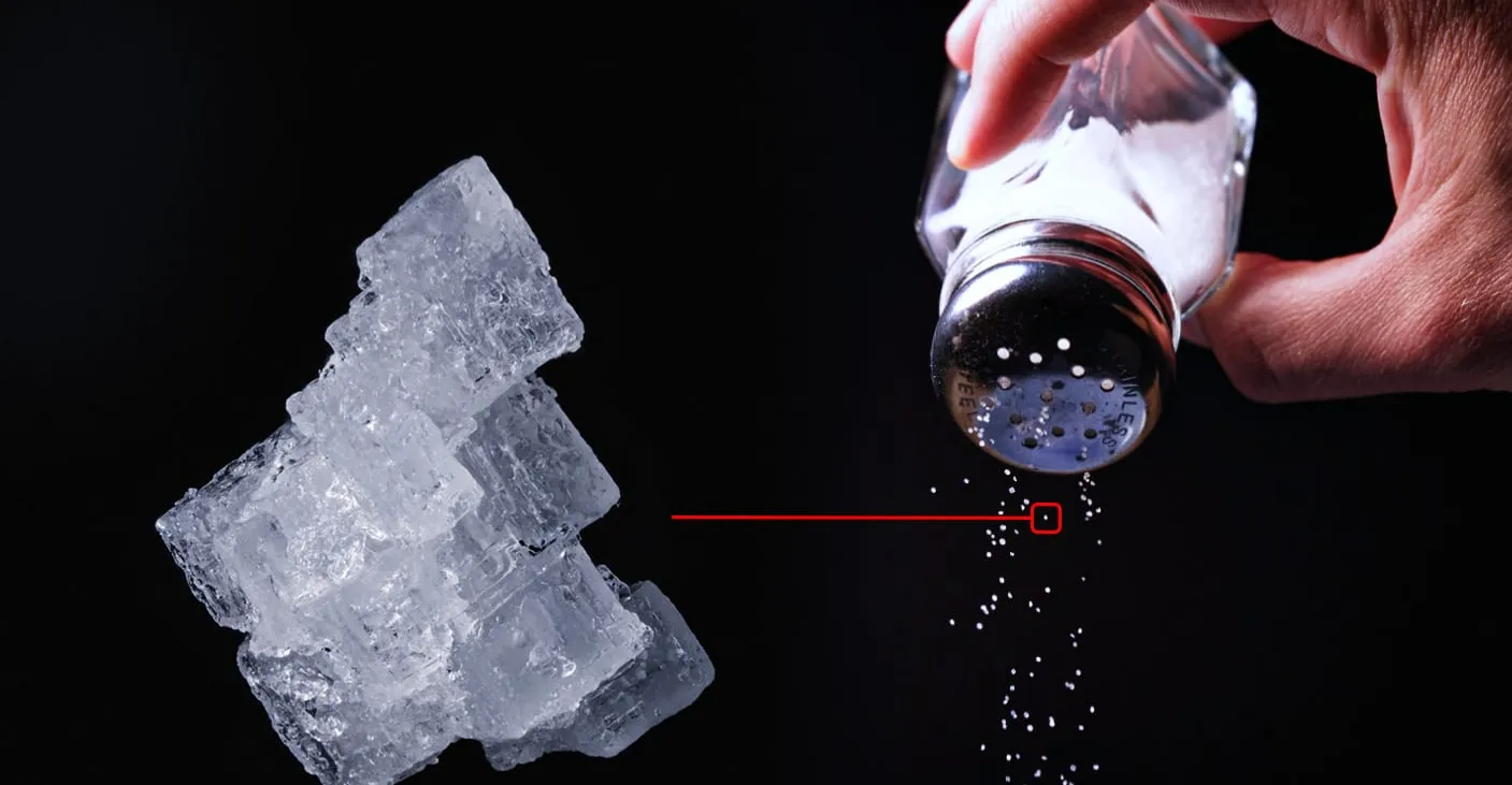 علماء يبتكرون روبوتاً أصغر من حبة ملح.. يفكر ويتحرك