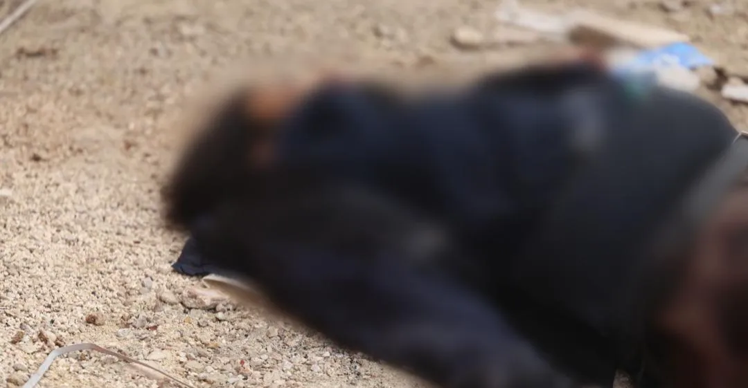 بعملية أمنية .. اعتقال "والي دمشق" ومقتل "والي حوران" في تنظيم داعش