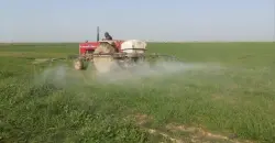 Basra farmers abandon land over water scarcity