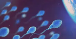 غير التستوستيرون.. عامل خفي وراء ضعف الأداء الجنسي للرجال