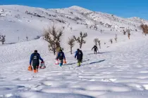 Rwanga launches winter feeding drive for wildlife in Kurdistan