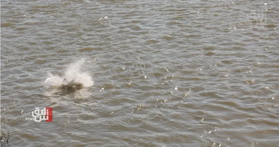 ‏خنکیان 4 مناڵ برا و ئاموزا لە دیالە و سەڵاحەدین (ڤیدیۆ)