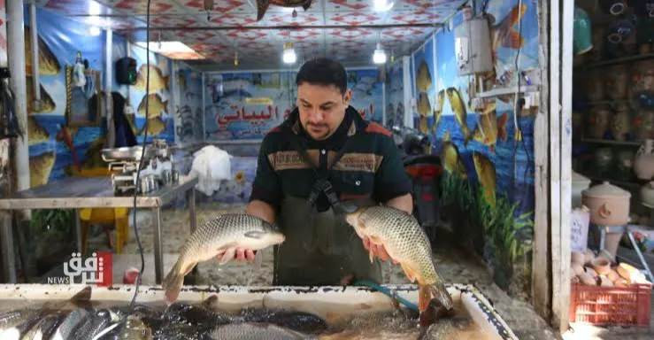 علوة أسماك الشطرة تتآكل ووعود حكومية بحمايتها