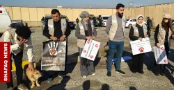 Rights groups rally in Erbil over stray dog killings