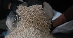 Iraq, Syria seize 2.5 million Captagon pills in joint operation