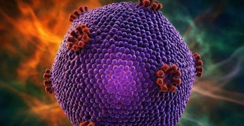 فيروس "نورو" يصيب أكثر من 100 تلميذ في الصين