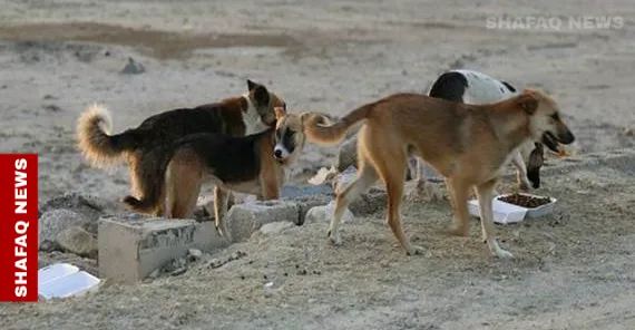 وفاة فتاة بعضة كلب "مسعور" غرب نينوى