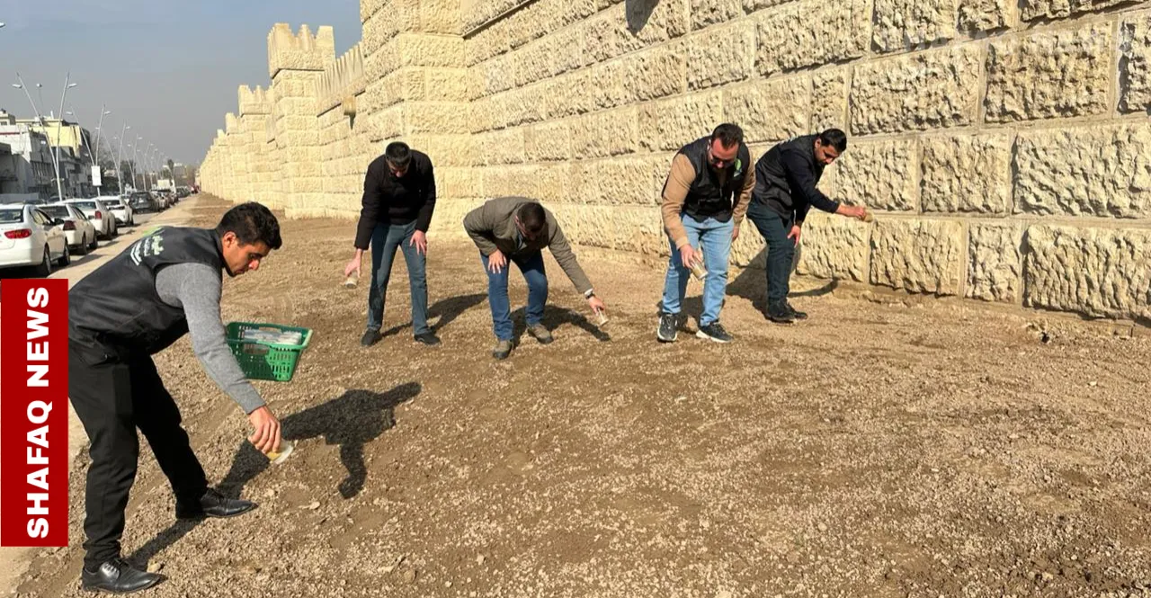 بعد انقطاع دام مواسم .. إطلاق مبادرة لإحياء زهرة البيبون قرب أسوار الموصل الأثرية