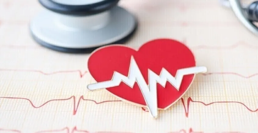 العلماء يؤكدون تجدد خلايا عضلة القلب لدى البشر بعد النوبات