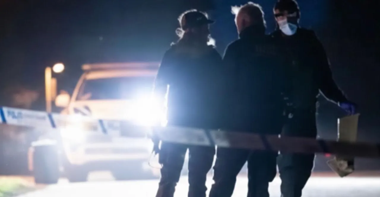 بطلب من السويد .. القضاء العراقي يفكك عصابة "الثعلب الكوردي"