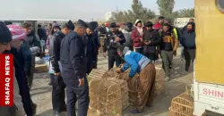 ديالى.. إصابة شخص بمشاجرة وتحرير طيور برية مهددة بالانقراض (صور)