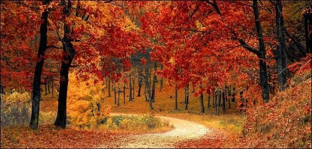 ‏دوو پارچە شیعر