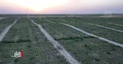 روانگەیگ ئابووری: 54% لە زەویەیل کشتوکاڵی لە عراق وەکار ناوریاس