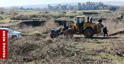 Iraq probes illegal logging in Kirkuk’s Qarabak forest